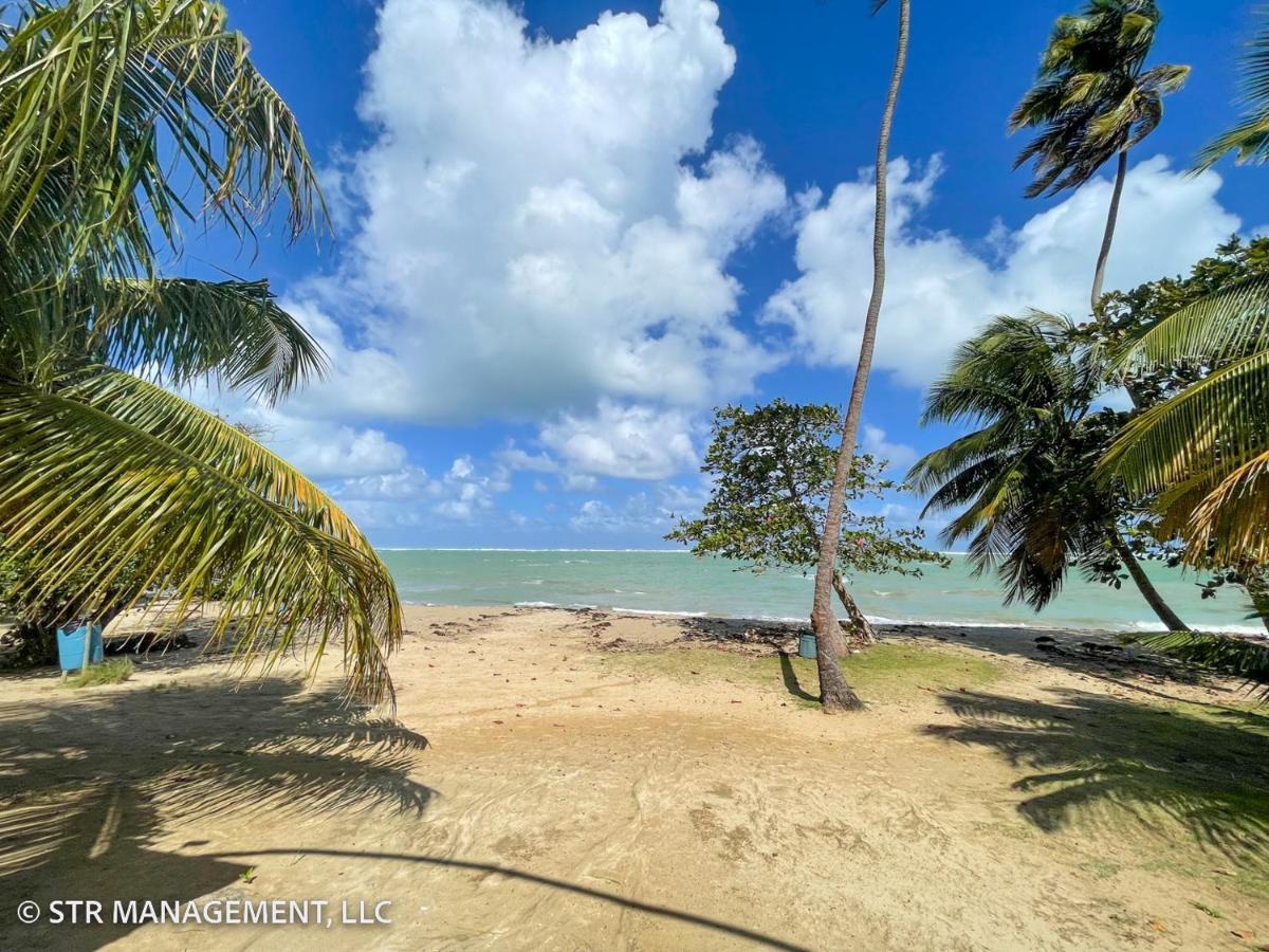 Upscale Condo At Aquatika Beach & Vacation Villas 洛伊萨 外观 照片