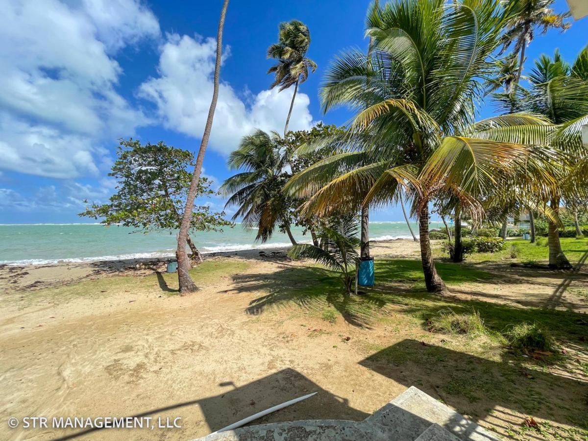 Upscale Condo At Aquatika Beach & Vacation Villas 洛伊萨 外观 照片